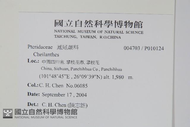 登錄號:P010124藏品圖，第2張