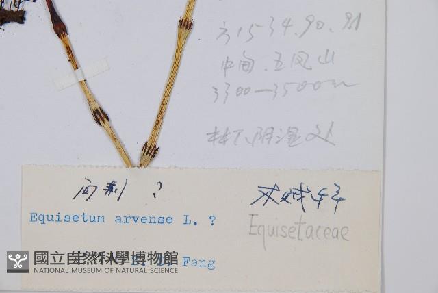 問荊藏品圖，第2張