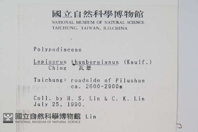 瓦葦藏品圖，第2張