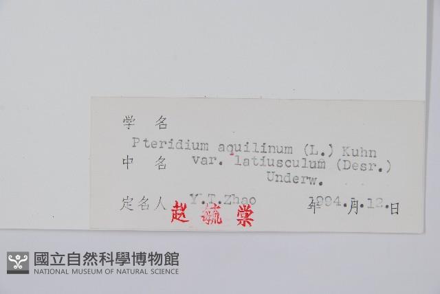 蕨藏品圖，第2張