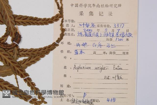 Accession Number:P008724 Collection Image, Figure 2, Total 4 Figures