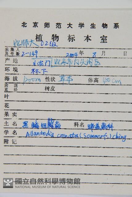 黑鱗短腸蕨藏品圖，第2張