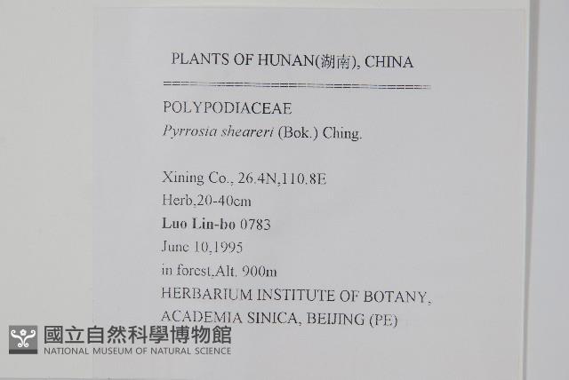 盧山石葦藏品圖，第2張