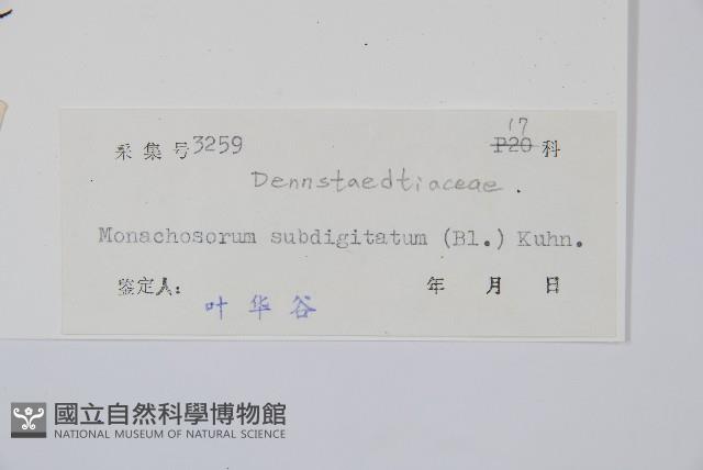 登錄號:P005424藏品圖，第2張