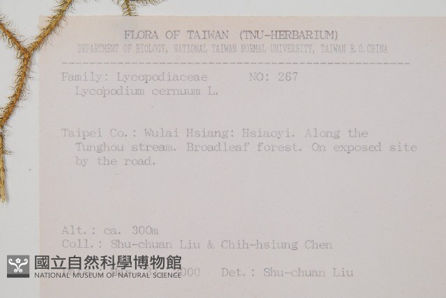 過山龍藏品圖，第2張
