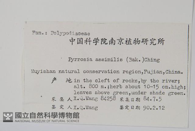 Accession Number:P003424 Collection Image, Figure 2, Total 2 Figures