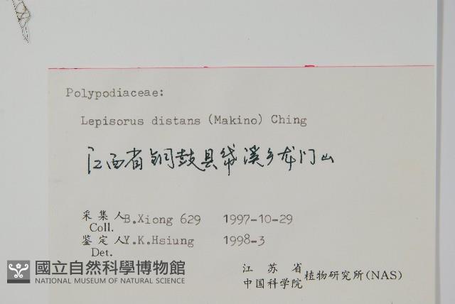 遠葉瓦葦藏品圖，第2張