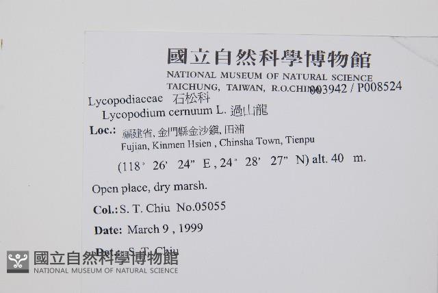 過山龍藏品圖，第2張