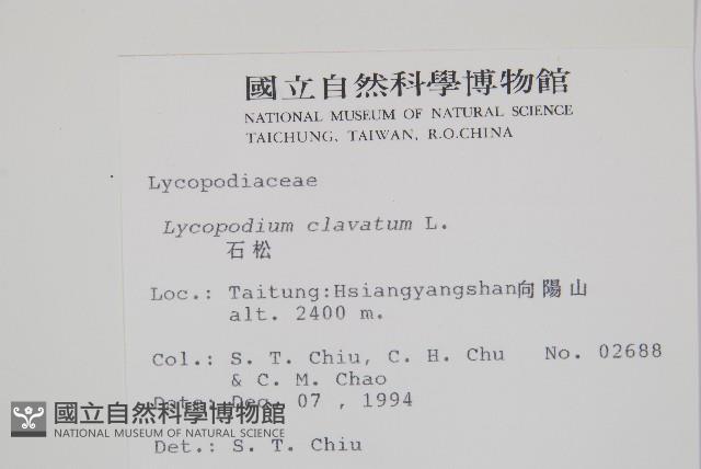 石松藏品圖，第2張