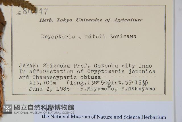 登錄號:P012704藏品圖，第2張