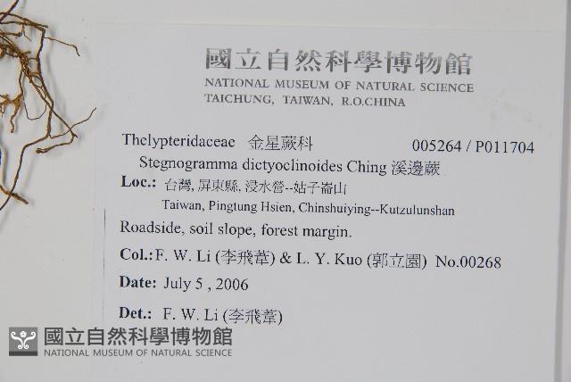 溪邊蕨藏品圖，第2張