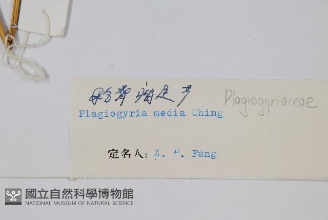 Accession Number:P003704 Collection Image, Figure 2, Total 2 Figures