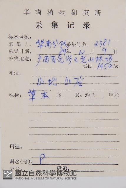 江南短腸蕨藏品圖，第2張