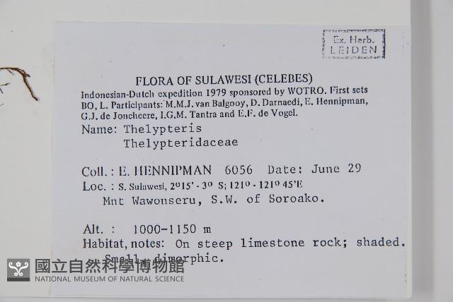 登錄號:P005604藏品圖，第2張