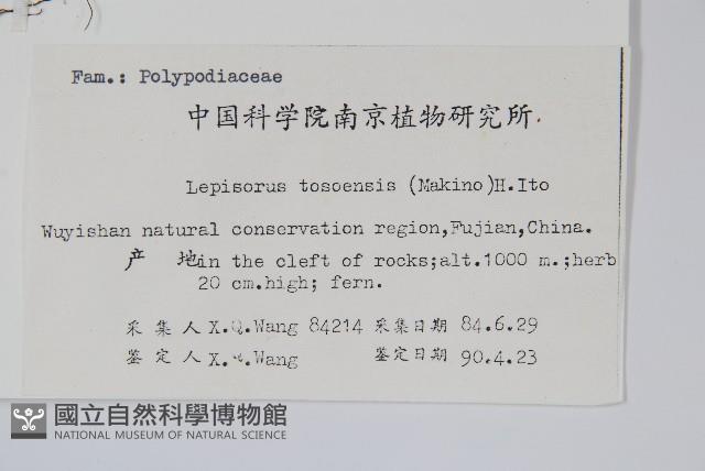 擬瓦葦藏品圖，第2張