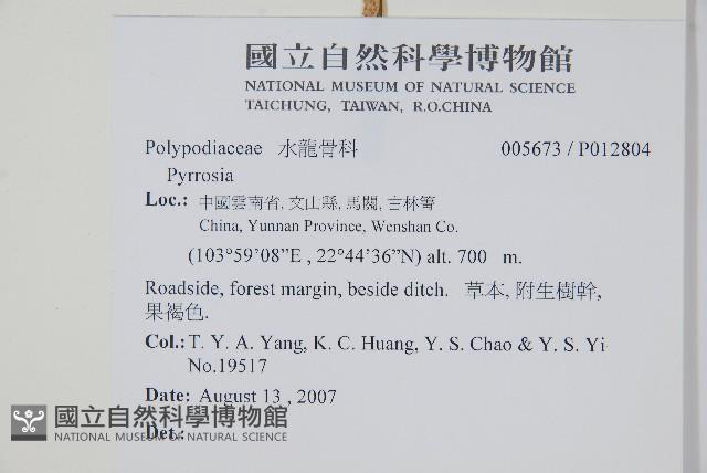 登錄號:P012804藏品圖，第2張