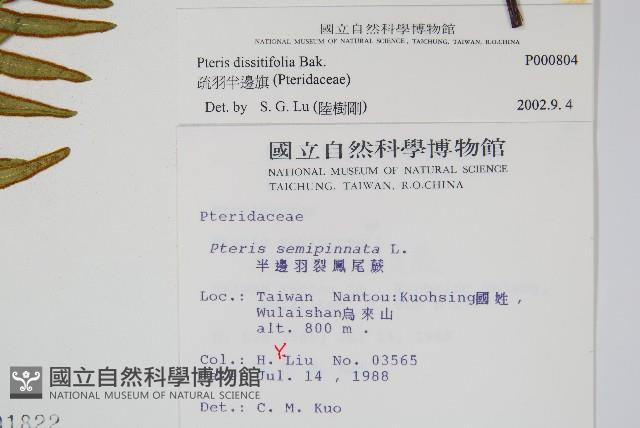 疏羽半邊旗藏品圖，第2張