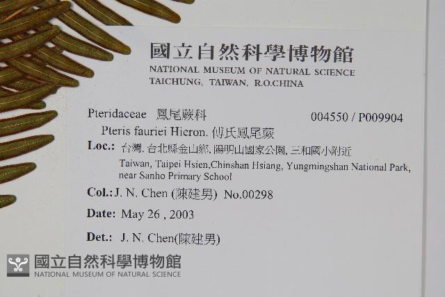 傅氏鳳尾蕨藏品圖，第2張