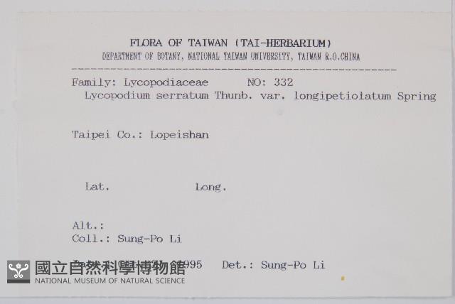 長柄千層塔藏品圖，第2張