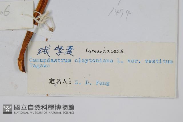 登錄號:P003914藏品圖，第2張