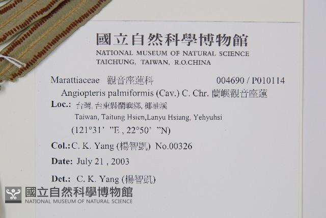 蘭嶼觀音座蓮藏品圖，第2張