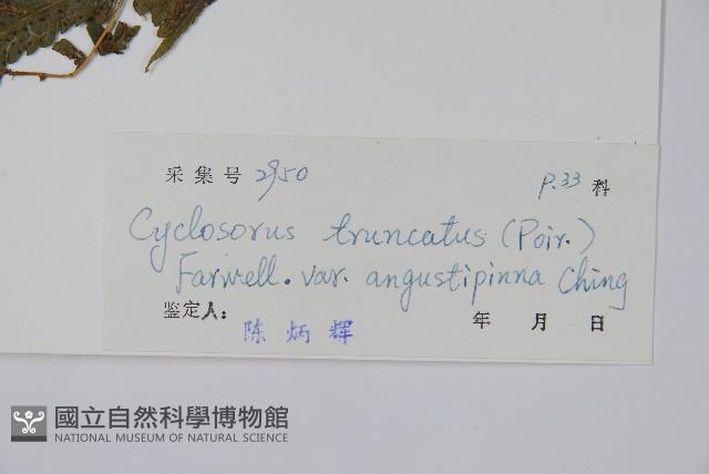 登錄號:P004114藏品圖，第2張