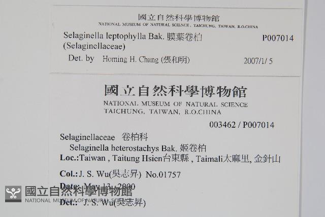 Accession Number:P007014 Collection Image, Figure 2, Total 2 Figures