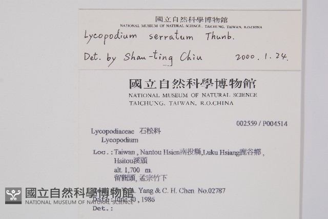 千層塔藏品圖，第2張