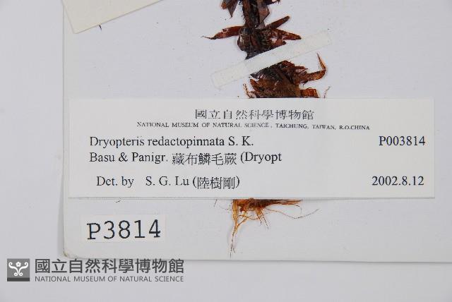 Accession Number:P003814 Collection Image, Figure 2, Total 2 Figures