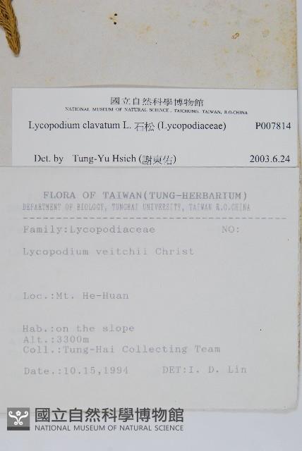 石松藏品圖，第2張