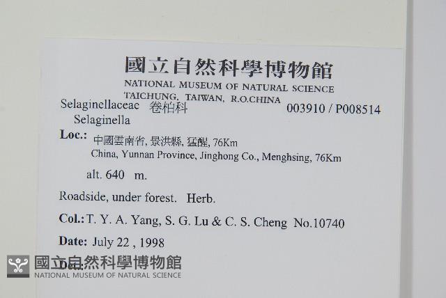 登錄號:P008514藏品圖，第2張