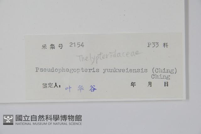 登錄號:P004954藏品圖，第2張