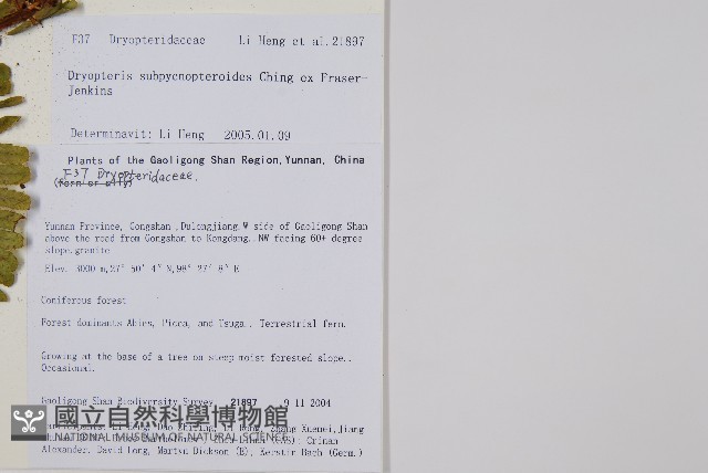 登錄號:P010754藏品圖，第2張