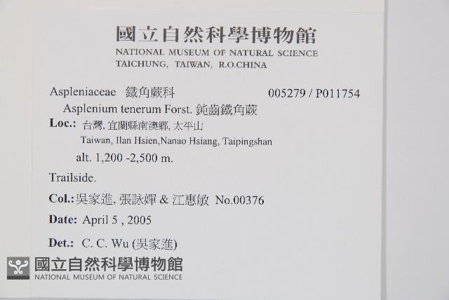 Accession Number:P011754 Collection Image, Figure 2, Total 5 Figures