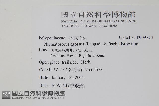 登錄號:P009754藏品圖，第1張