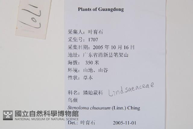 烏蕨藏品圖，第2張