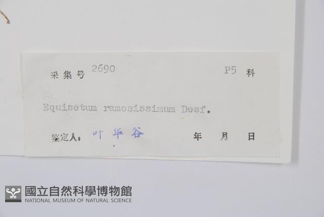 木賊藏品圖，第2張