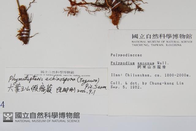 Accession Number:P001354 Collection Image, Figure 2, Total 2 Figures