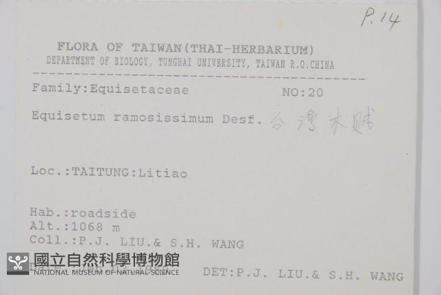 木賊藏品圖，第2張