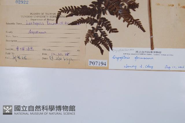 Accession Number:P007194 Collection Image, Figure 2, Total 2 Figures