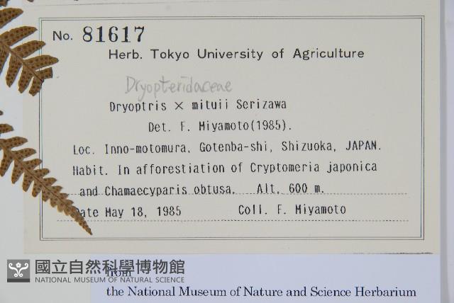 登錄號:P012794藏品圖，第2張