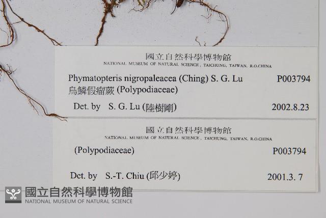 Accession Number:P003794 Collection Image, Figure 2, Total 2 Figures