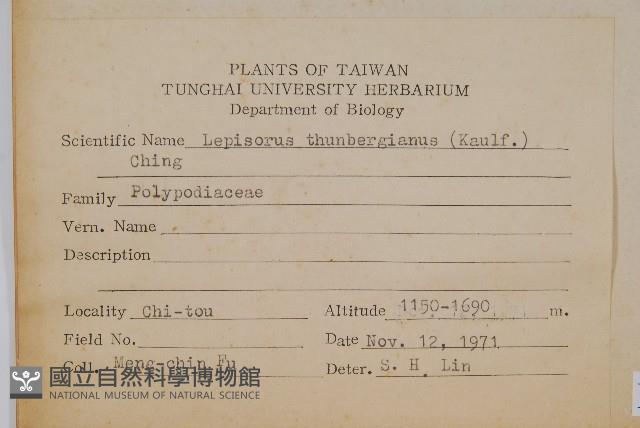 瓦葦藏品圖，第2張