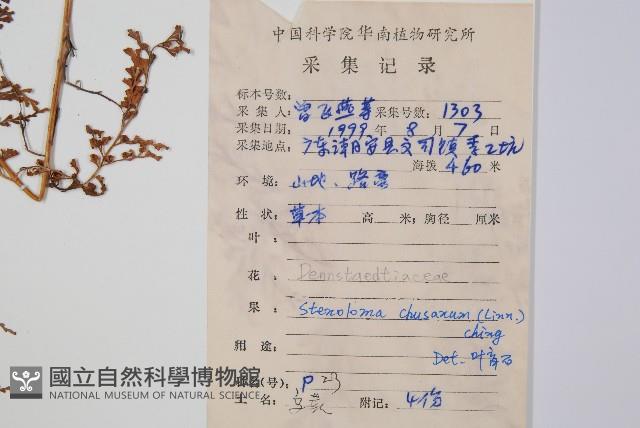 烏蕨藏品圖，第2張