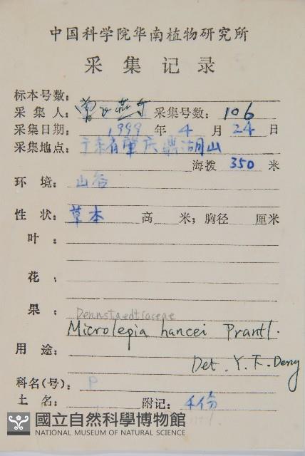 華南鱗蓋蕨藏品圖，第2張