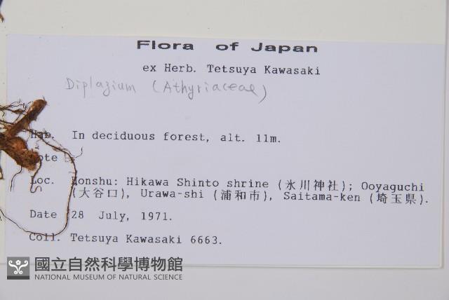 登錄號:P011394藏品圖，第2張