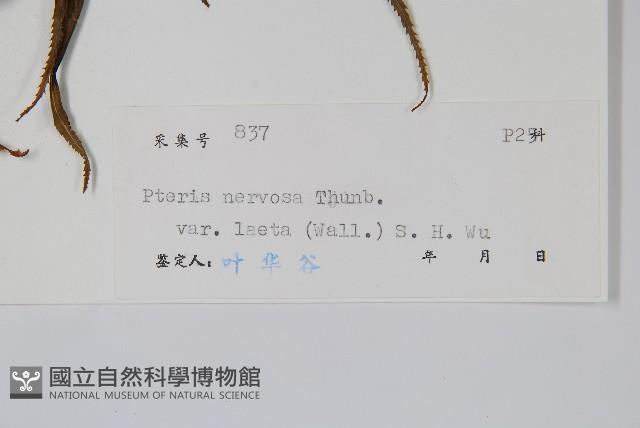 登錄號:P005394藏品圖，第2張