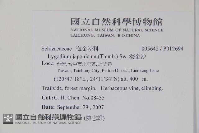 海金沙藏品圖，第2張