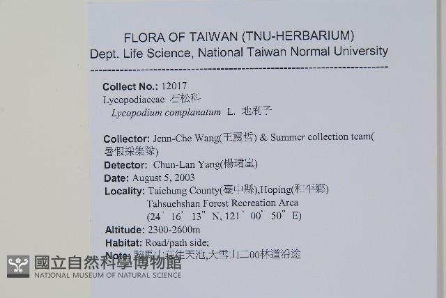 地刷子藏品圖，第2張