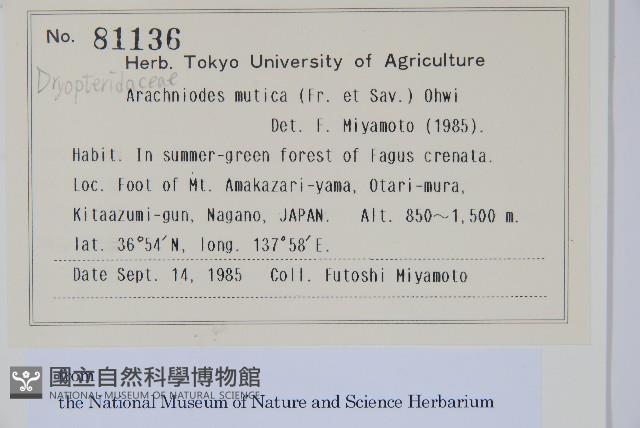 登錄號:P012734藏品圖，第2張